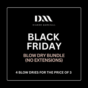 Blow Dry Bundle (no extensions)