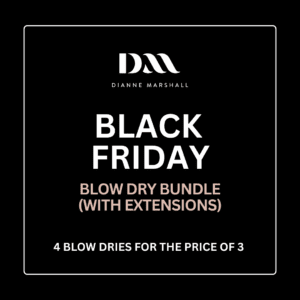 Blow Dry Bundle (with extensions)
